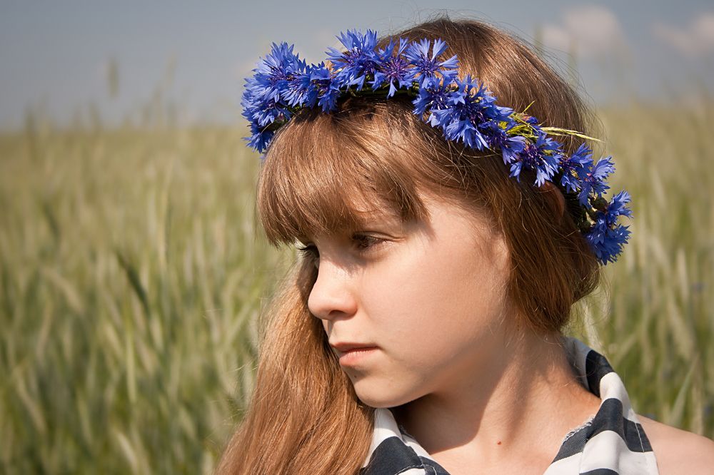 Cornflowers gestreckt werden den Himmel ...