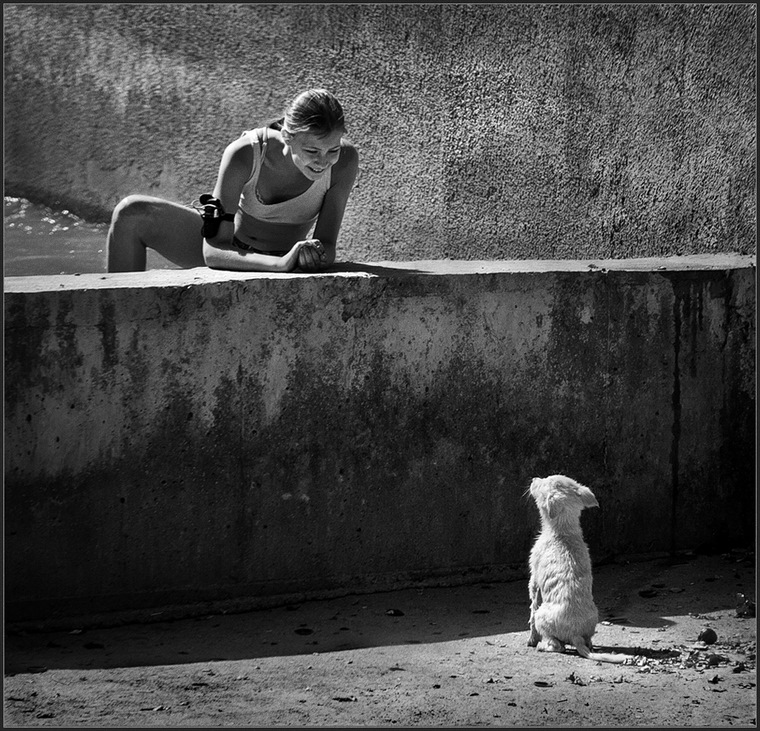 Ein Freund in der Not ist ein wahrer Freund ...