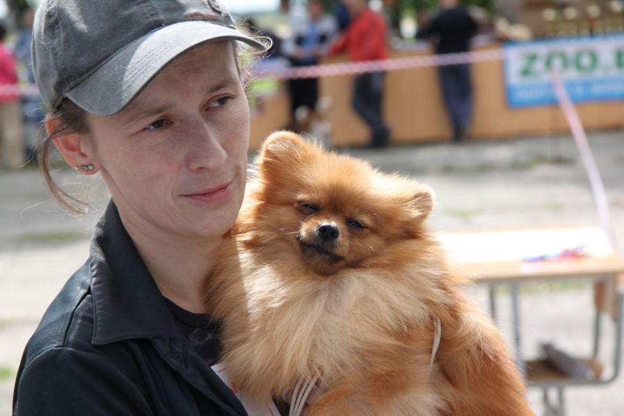 Interview auf der Hundeausstellung