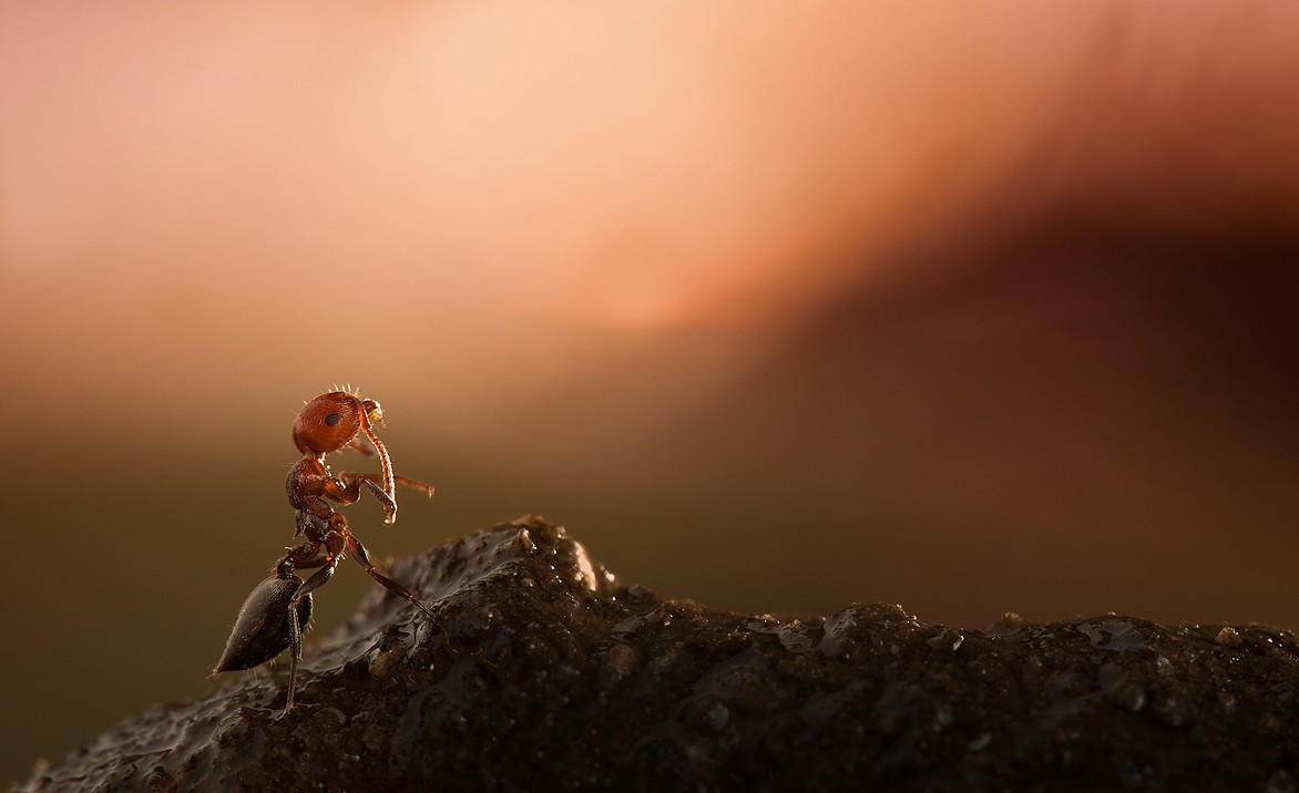 Auf der Suche nach Shambhala.