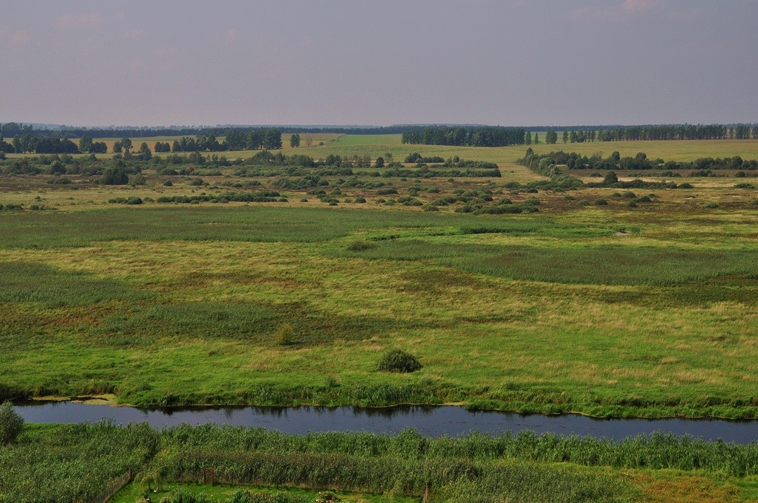 Der Fluss und das Feld