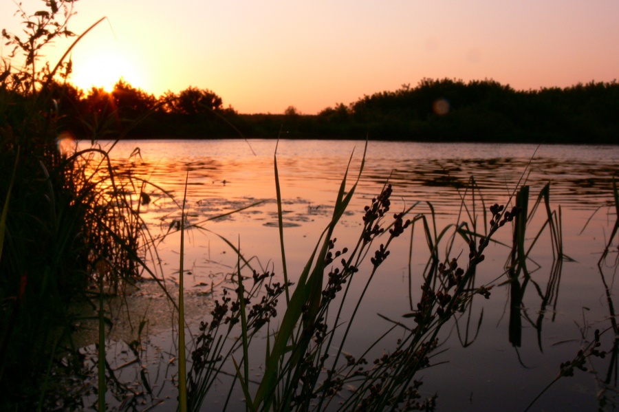 Im Morgengrauen ist es noch still wie