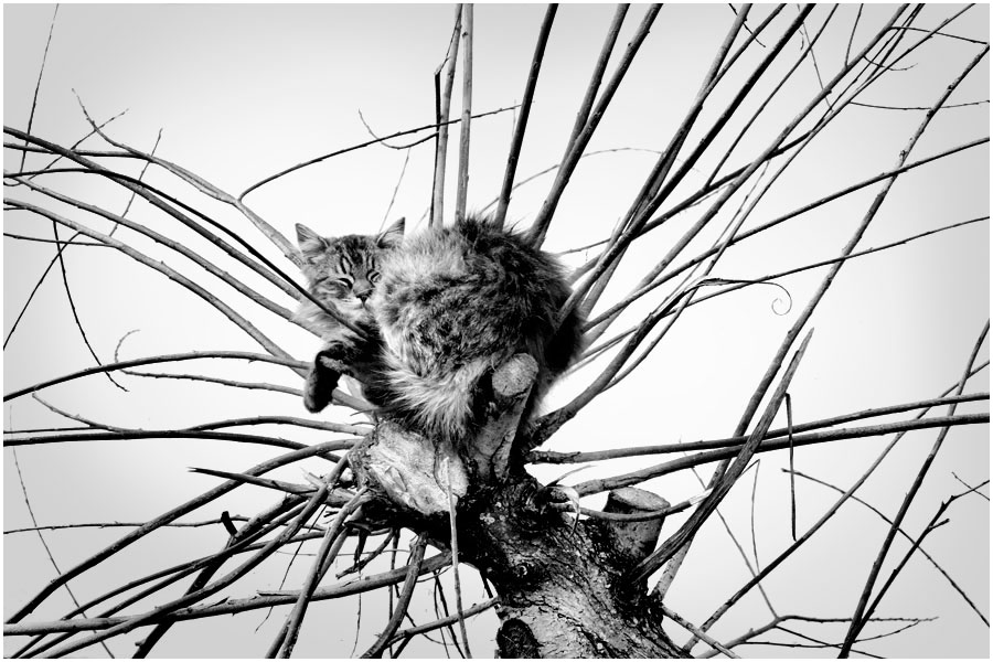 Bleiben Sie in den Winter