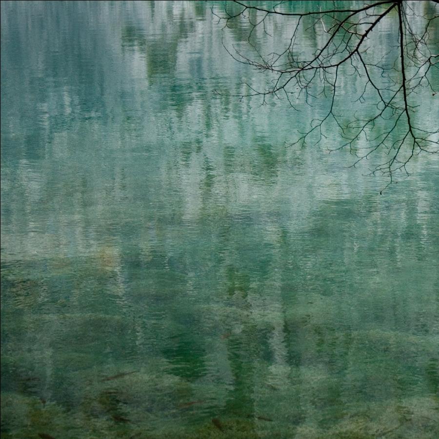 Wenn Spritzen Forellen ...