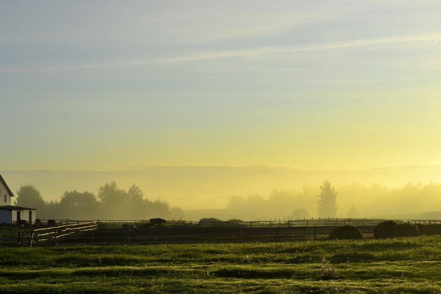 Hier ist mein Dorf Nr. 3