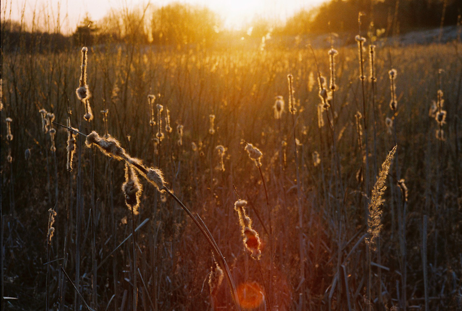 Frühling Sonnenuntergang