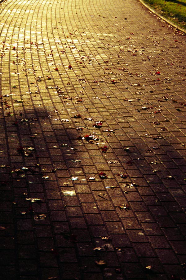 Goodbye Yellow Brick Road...