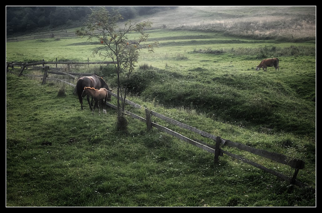 Karpaten-Melodien ...