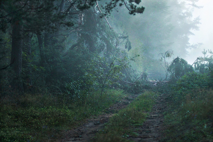 Die Ruhe nach dem Sturm