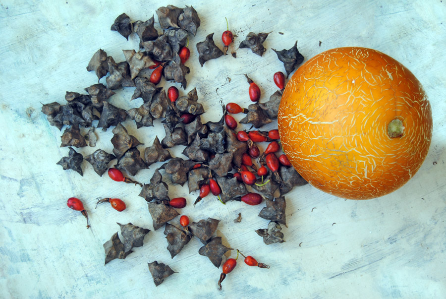 Chilim, Wildrose und Melone ...