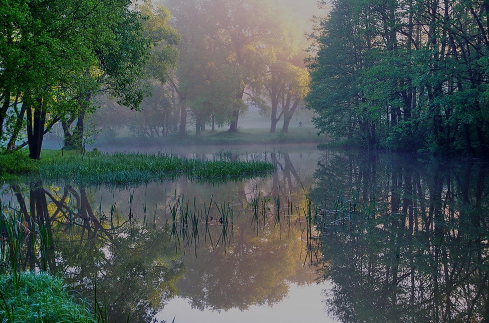 ... Verschiedene ...