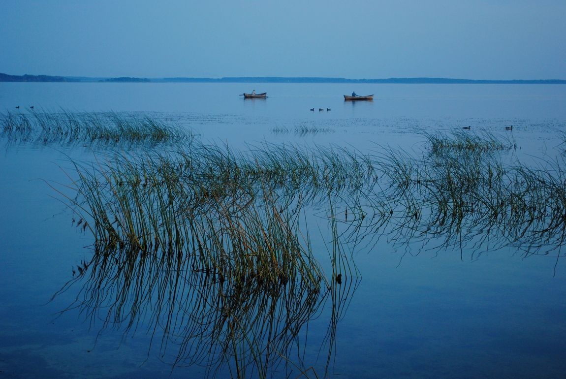 über die blaue Nacht