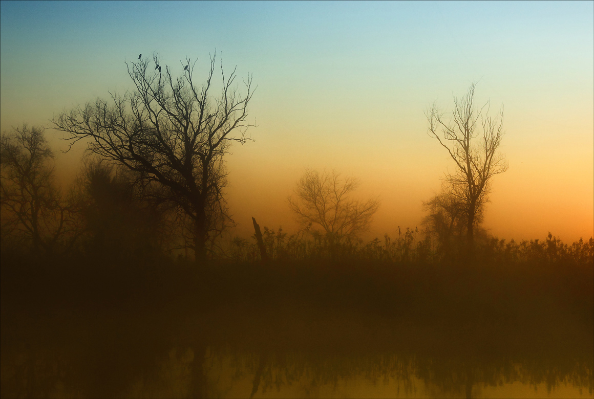 wo die Vögel singen nicht
