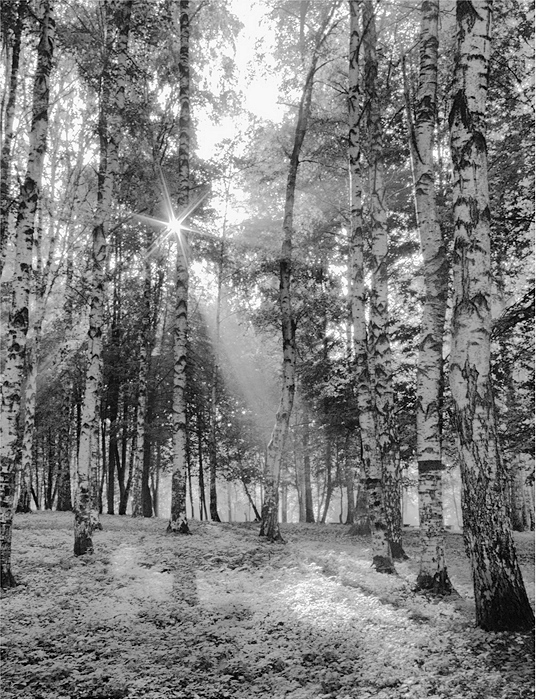 Sketch mit einem Sonnenstrahl 2