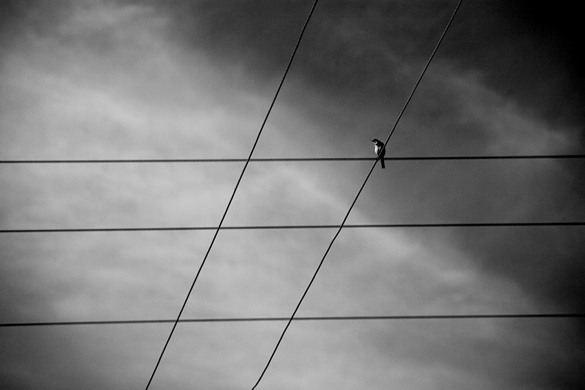 An der Kreuzung von Veranstaltungen.