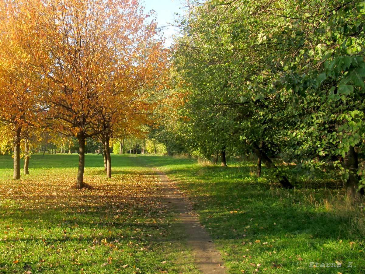 Zwei Farben des Herbstes