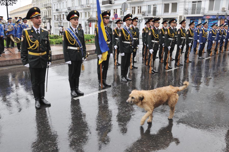 Die Parade werde ich ...