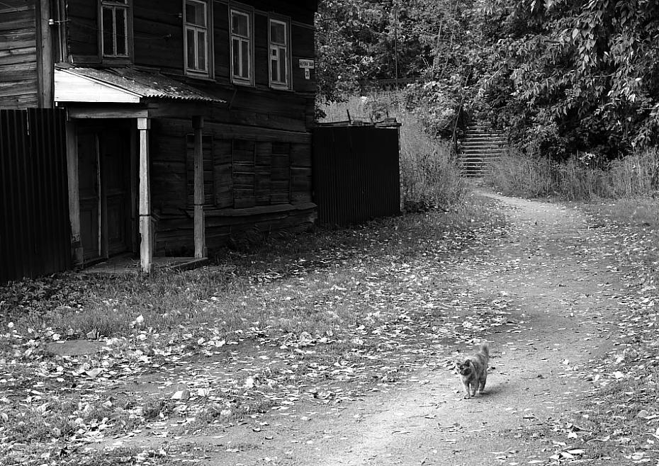 Aufgegeben und vergessen ...