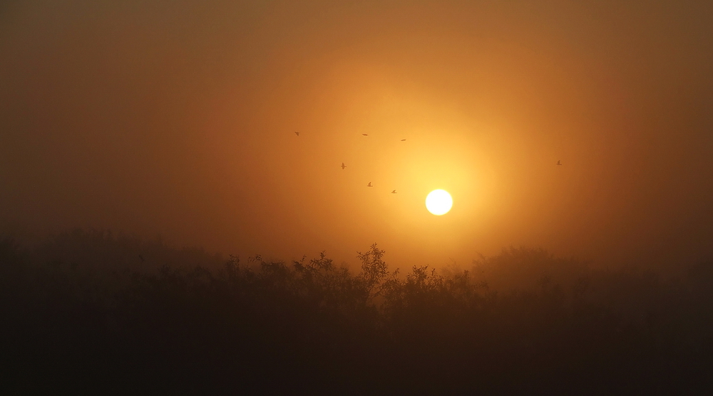 Beobachten Morgengrauen