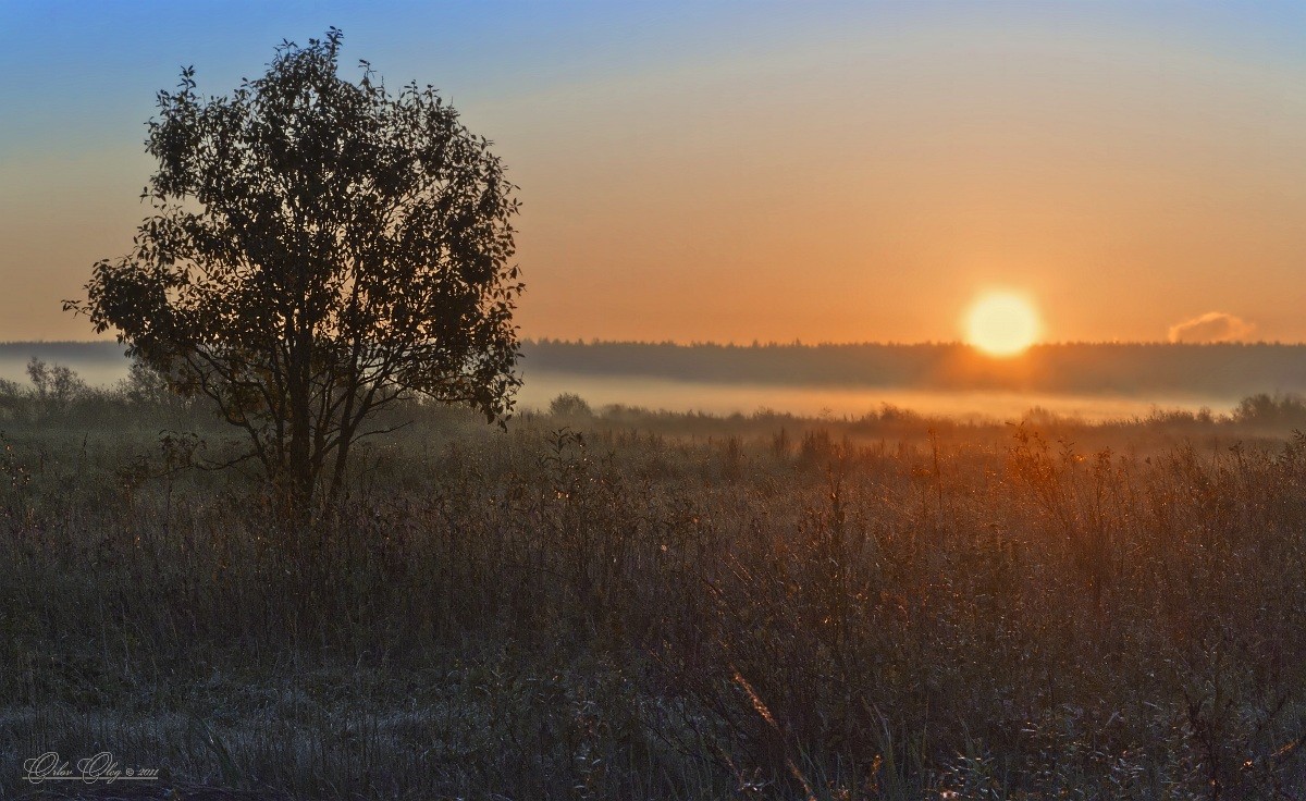 Herbstnebel ... ... ... eingefroren