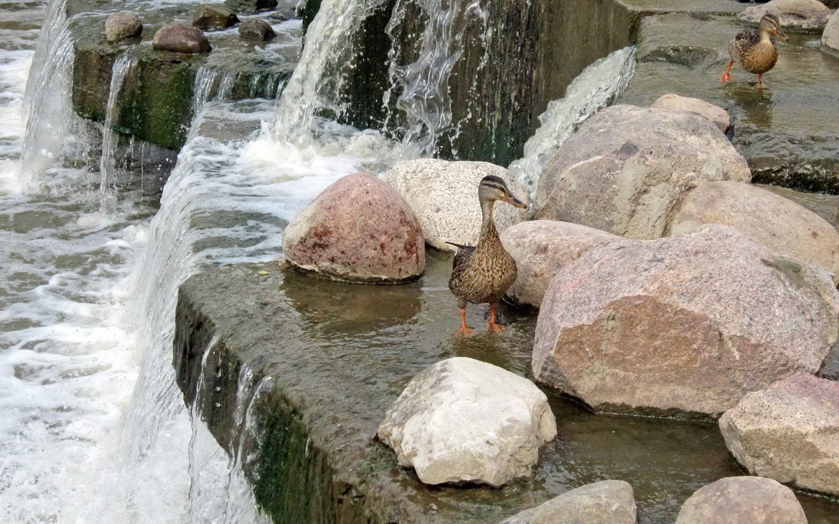 Von mir kann man nicht verstecken!