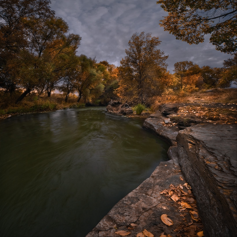 Ginger ist an der Zeit