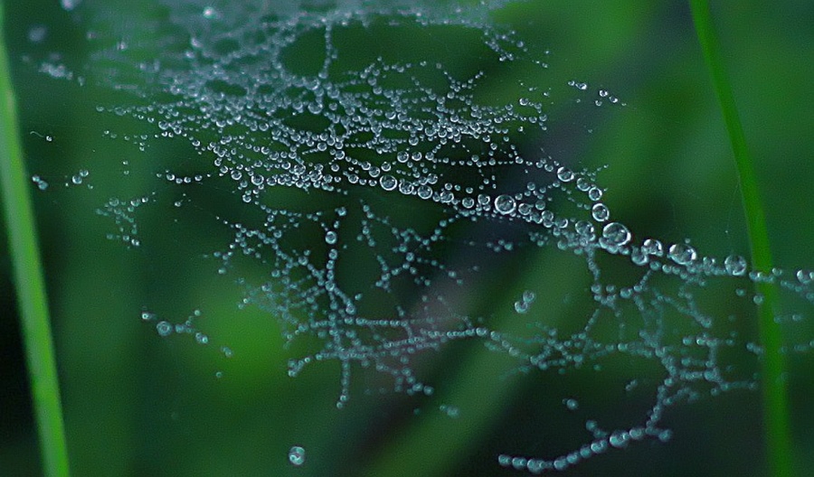 Wie in der Schwerelosigkeit