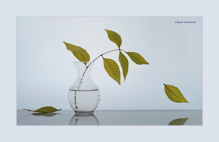 Herbst Ihren Verlust