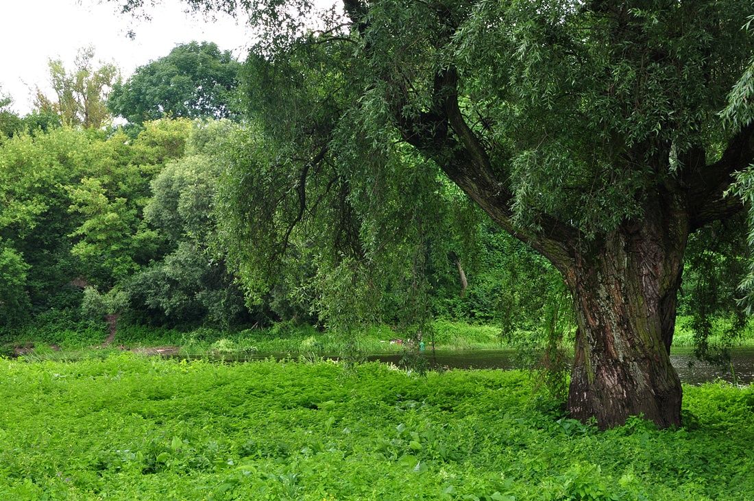 Er erinnert sich an alles