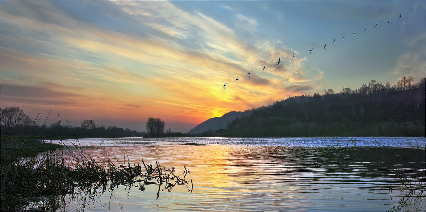 In der fernen Rand des ...