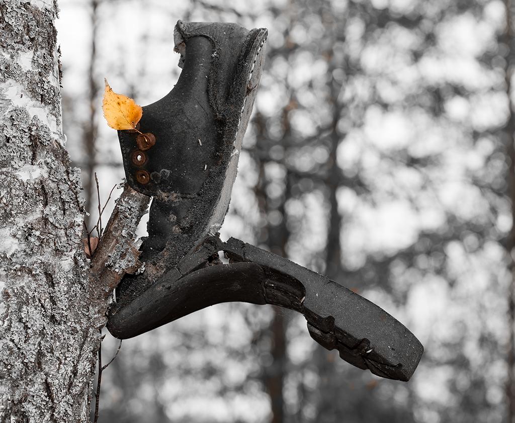 Es ist nicht eine Spur ...