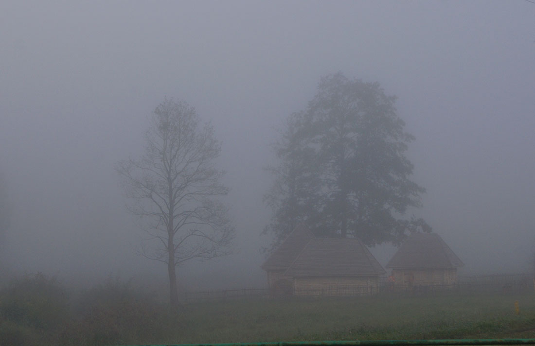 In dem weißen Nebel