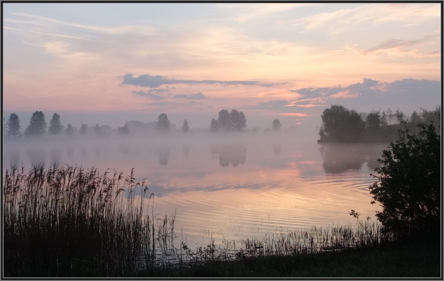 Möge die Morgendämmerung Nebel. (Sonate № 5, Teil III)