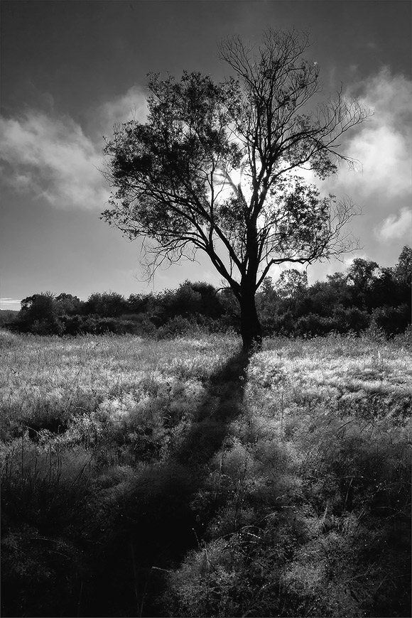 Abandoned vom Himmel