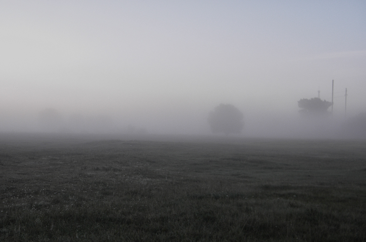 In den nebligen Schleier