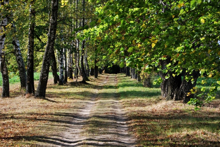 Kushlyany. Es ist windig.