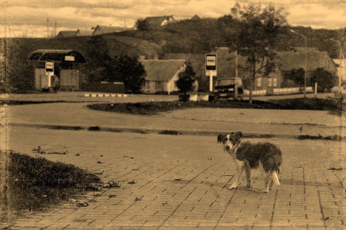 Auch hier kommen nicht