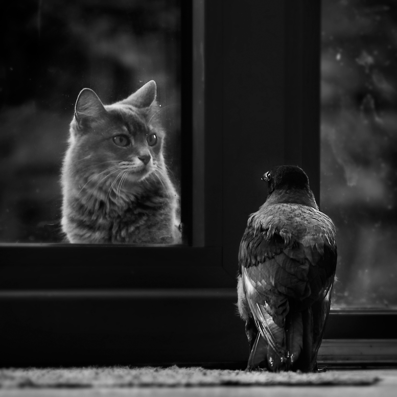 Kind Nummer 1. Shock.