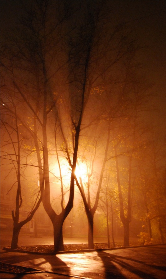 Foggy Nacht