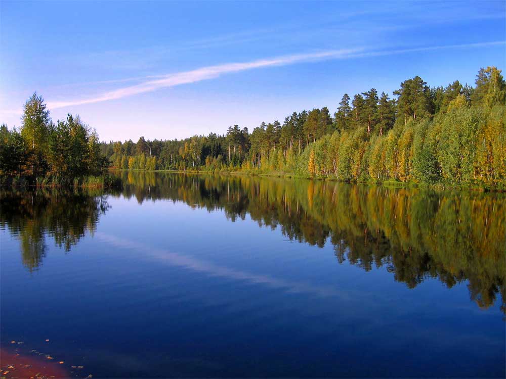das Geheimnis der schwarzen Wasser