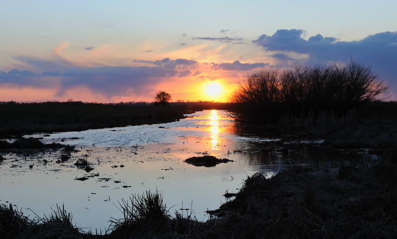 Direkt in das Wasser ...