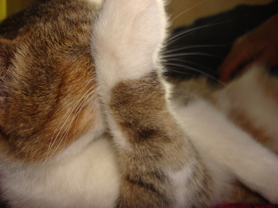 entfernen Sie die Kamera!