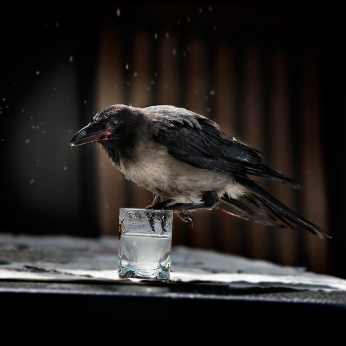 Kind Nummer 4. Die erste Fertigkeit.