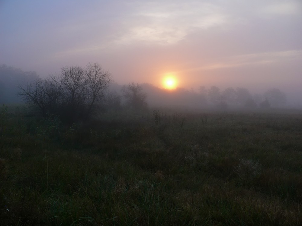 Rankovy Nebel (v 2.0).