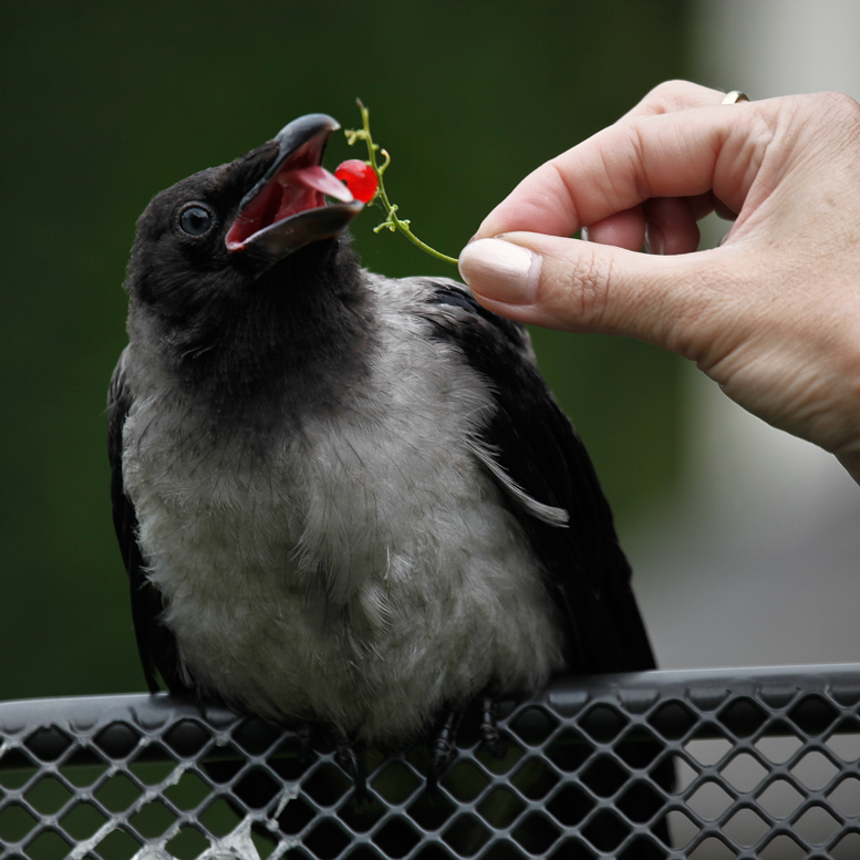 Kind Nummer 5. Sollte langsam und mit Würde zu essen.