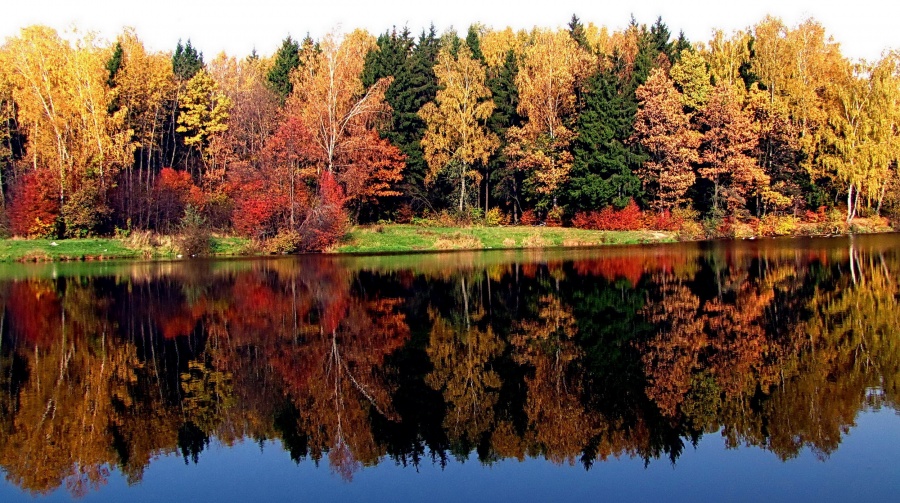 Erfreuliche mir Ihren Abschied Schönheit ...