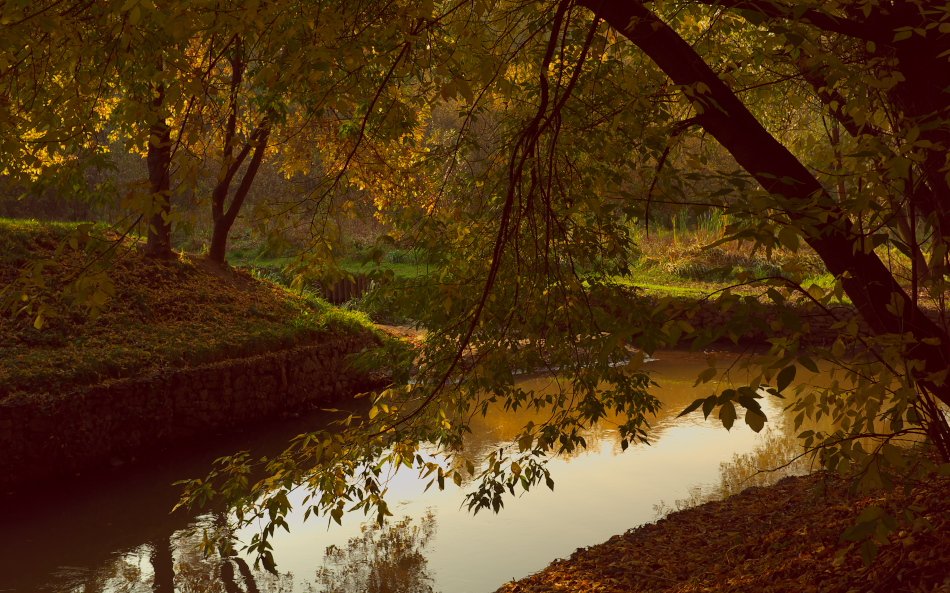 Unter dem Schatten ...