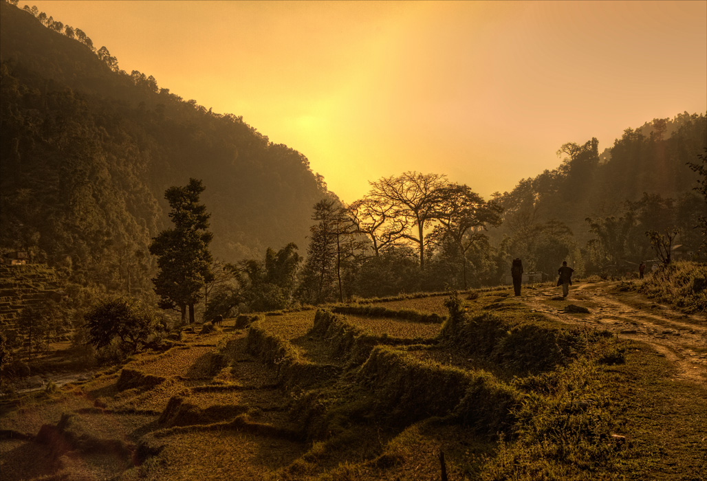 In gewisser Weise ...