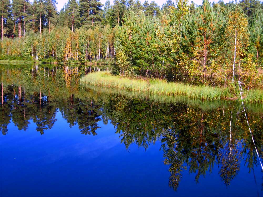 Geheimnis schwarzen Wasser 2