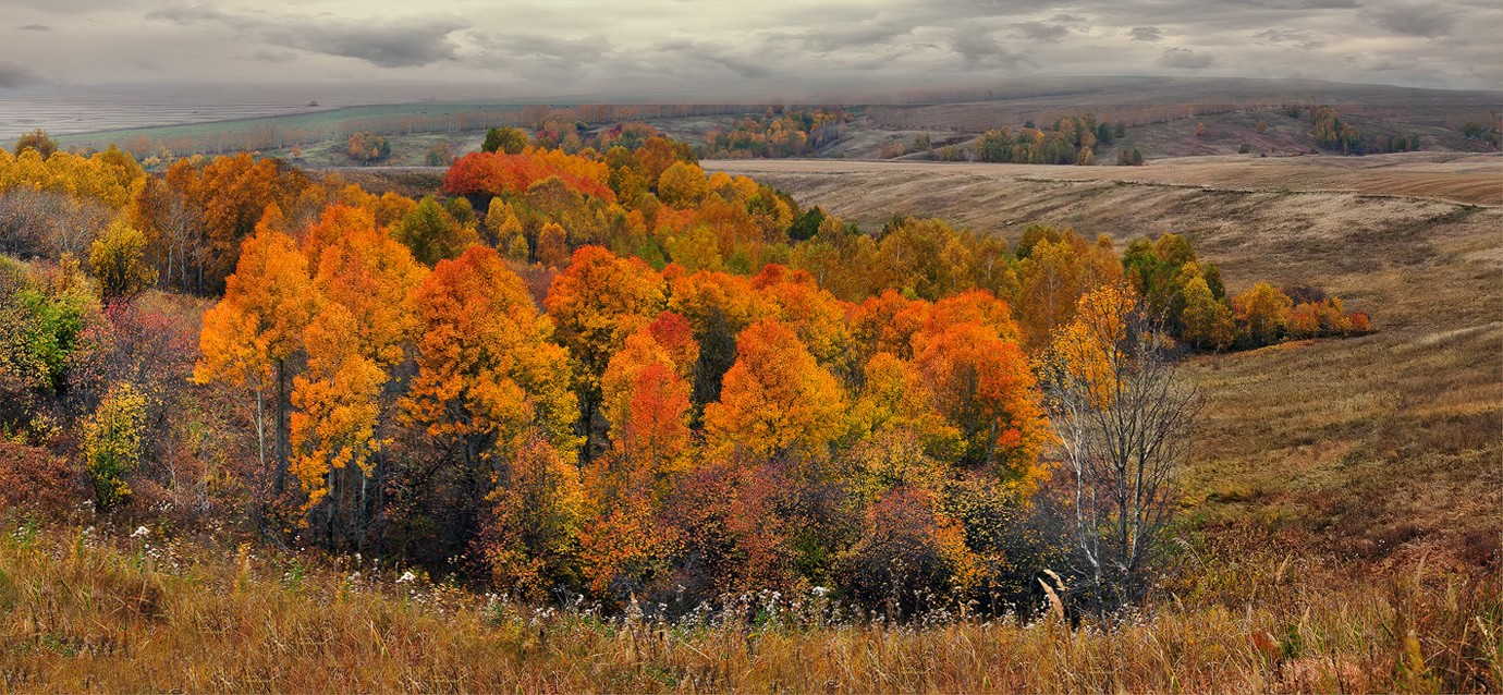 In Gefangenschaft fallen